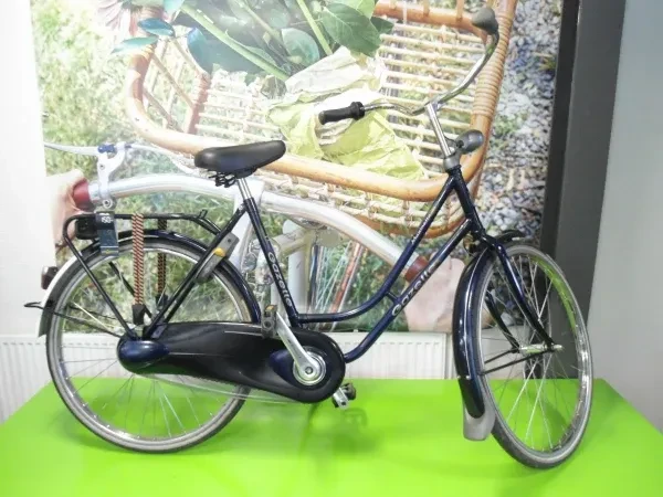 Gazelle Maxinette